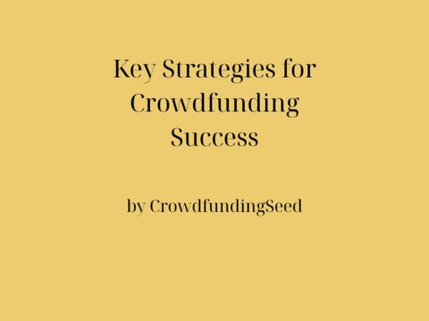 Key Strategies for Crowdfunding Success