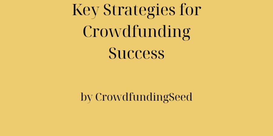 Key Strategies for Crowdfunding Success